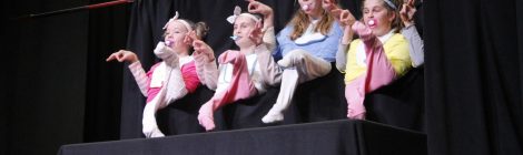 Storytelling and Talent Quest