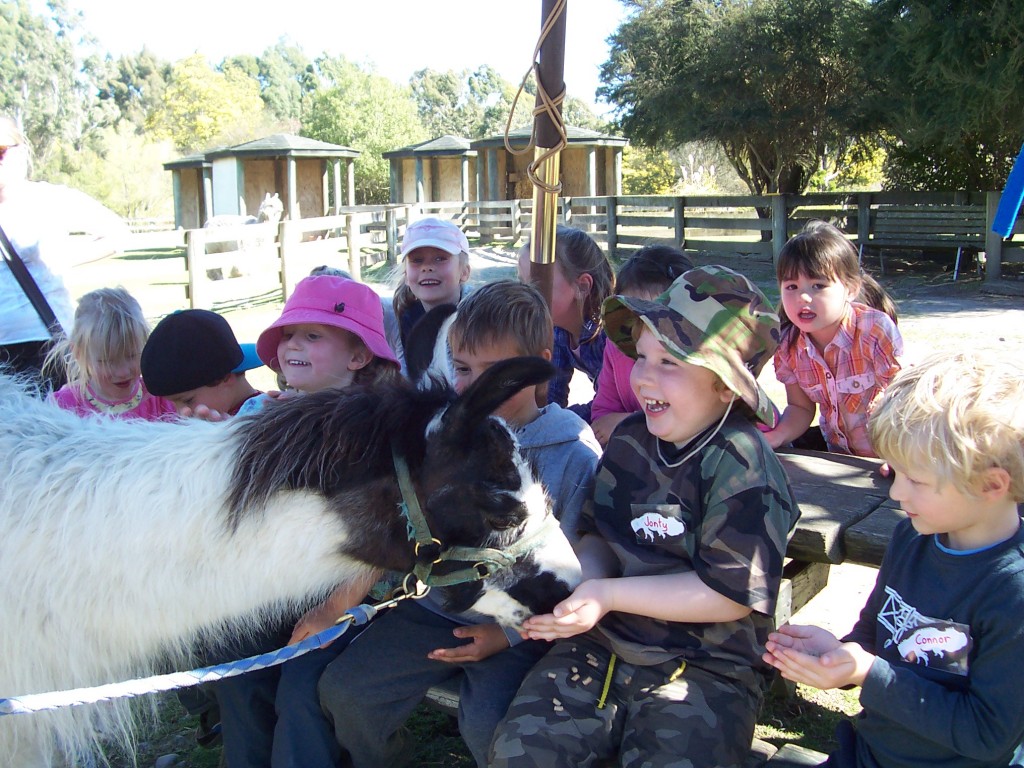 12 Feeding the Llama