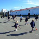 Hockey on Senior courts