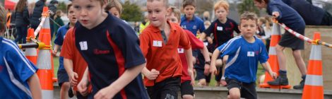 Cross Country Challenge