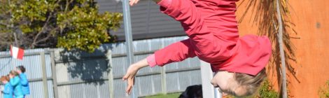 Welcome To Term Four!