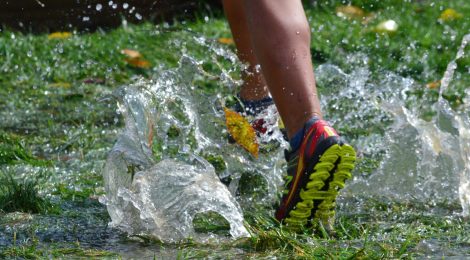Sports Notices